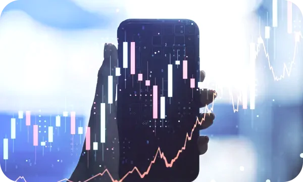 Wealthicator analyse crypto